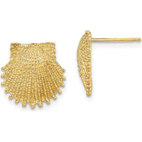 14K Yellow Gold Beaded Scallop Shell Button Earrings - 13.4mm Diameter by 0