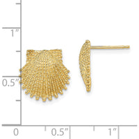 14K Yellow Gold Beaded Scallop Shell Button Earrings - 13.4mm Diameter by 0