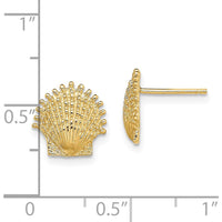14K Yellow Gold Beaded Scallop Shell Button Earrings - Elegant Ocean-Inspired Design by 0