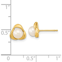 14K Yellow Gold Button Freshwater Cultured Pearl Post Earrings - 5-6mm Pearl Size by Monteluci Fine Jewelry