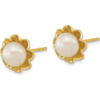14K Yellow Gold Button Freshwater Cultured Pearl Post Earrings - 5-6mm Pearls by Monteluci Fine Jewelry