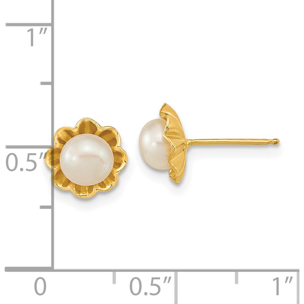14K Yellow Gold Button Freshwater Cultured Pearl Post Earrings - 5-6mm Pearls by Monteluci Fine Jewelry