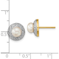 14K Yellow Gold Button Stud Earrings with 5.5-6mm Freshwater Pearls and 0.05 Carat Diamonds by Monteluci Fine Jewelry