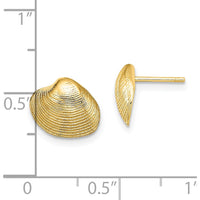 14K Yellow Gold Clam Shell Button Earrings with Polished Finish by 0