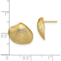 14K Yellow Gold Clam Shell Post Earrings - Polished Finish by 0