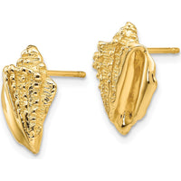 14K Yellow Gold Conch Shell Button Earrings - Casted Solid Gold Design by Oro Pregiato