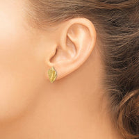 14K Yellow Gold Conch Shell Button Earrings - Casted Solid Gold Design by Oro Pregiato