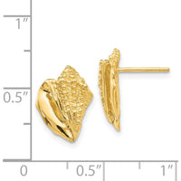 14K Yellow Gold Conch Shell Button Earrings - Casted Solid Gold Design by Oro Pregiato