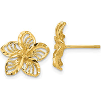 14K Yellow Gold Diamond-Cut Filigree Plumeria Button Earrings by 0