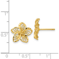 14K Yellow Gold Diamond-Cut Filigree Plumeria Button Earrings by 0