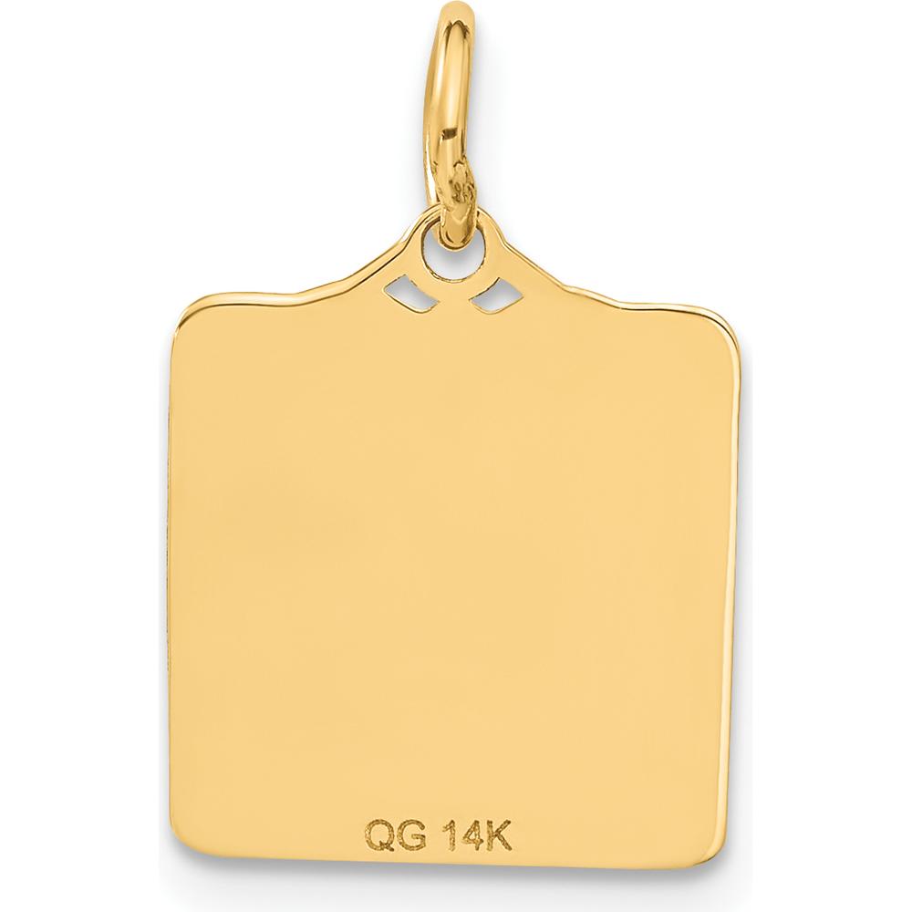 14K Yellow Gold Enameled Blue Engravable Birth Certificate Charm - 20mm