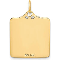 14K Yellow Gold Enameled Blue Engravable Birth Certificate Charm - 25mm x 18mm