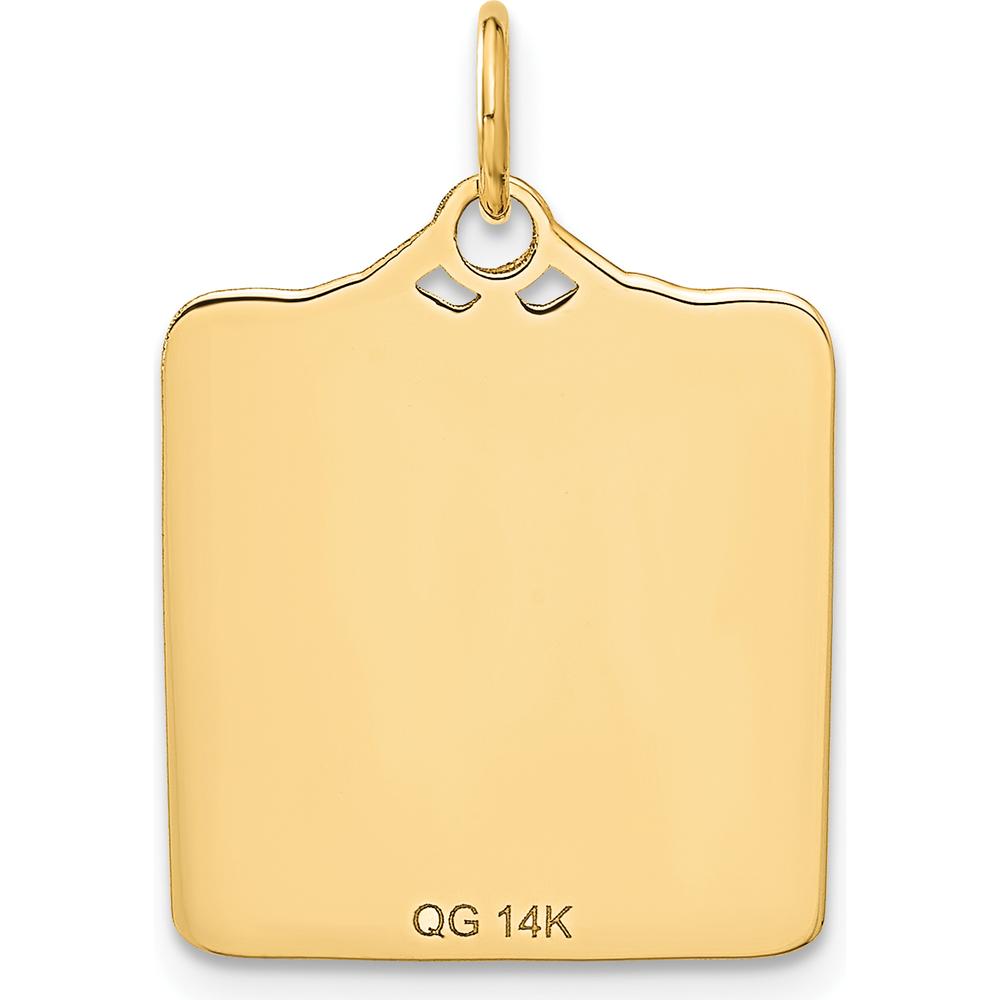 14K Yellow Gold Enameled Blue Engravable Birth Certificate Charm - 25mm x 18mm