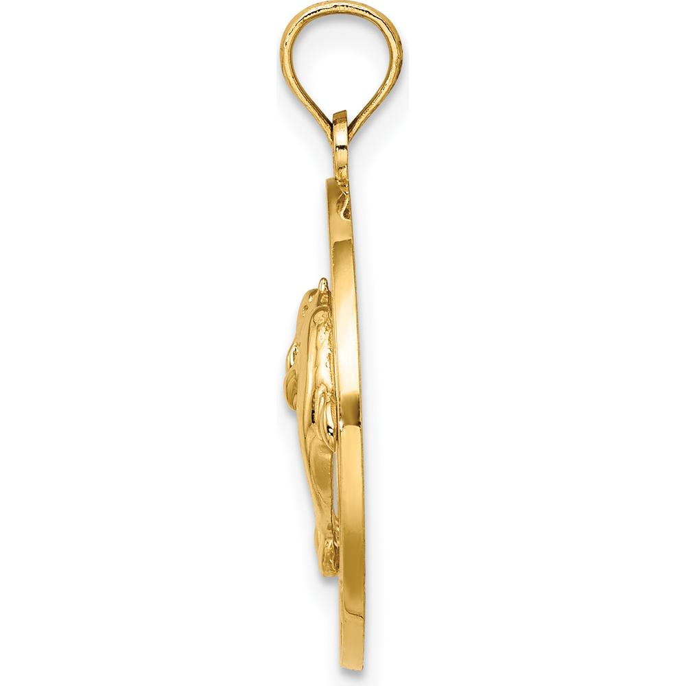 14K Yellow Gold Florida Dolphins Circle Charm Pendant - Polished Finish by Oro Pregiato