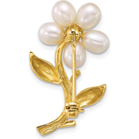 14K Yellow Gold Flower Brooch with 5 White Freshwater Cultured Pearls - 4-5mm by Monteluci Fine Jewelry