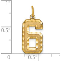 14K Yellow Gold Large Brushed Diamond-Cut Number 6 Charm by Oro Pregiato