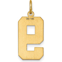 14K Yellow Gold Large Brushed Diamond-Cut Number 9 Charm Pendant by Oro Pregiato