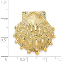 14K Yellow Gold Large Lion's Paw Shell Omega Slide Pendant - Textured Polished Finish by 0
