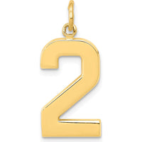 14K Yellow Gold Large Polished Number 2 Charm - 20.88mm Length by Oro Pregiato