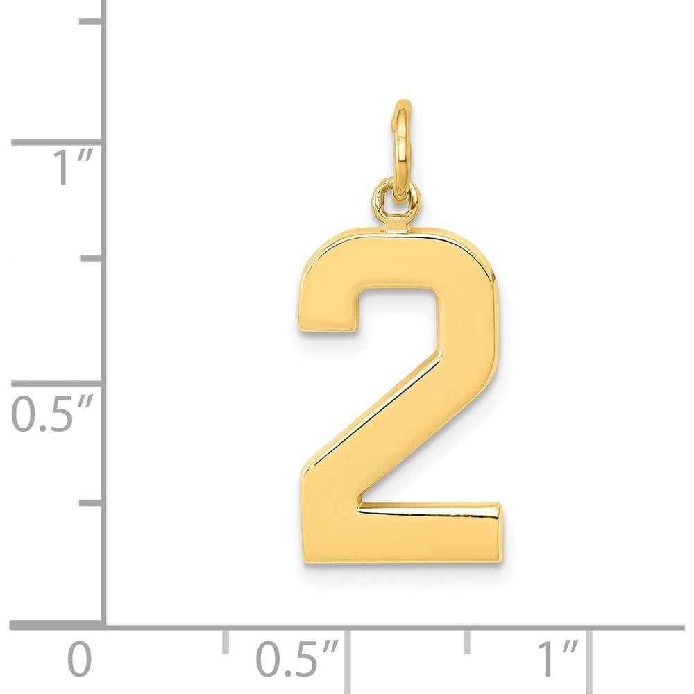 14K Yellow Gold Large Polished Number 2 Charm - 20.88mm Length by Oro Pregiato