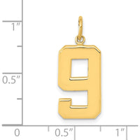 14K Yellow Gold Large Polished Number 9 Charm by Oro Pregiato