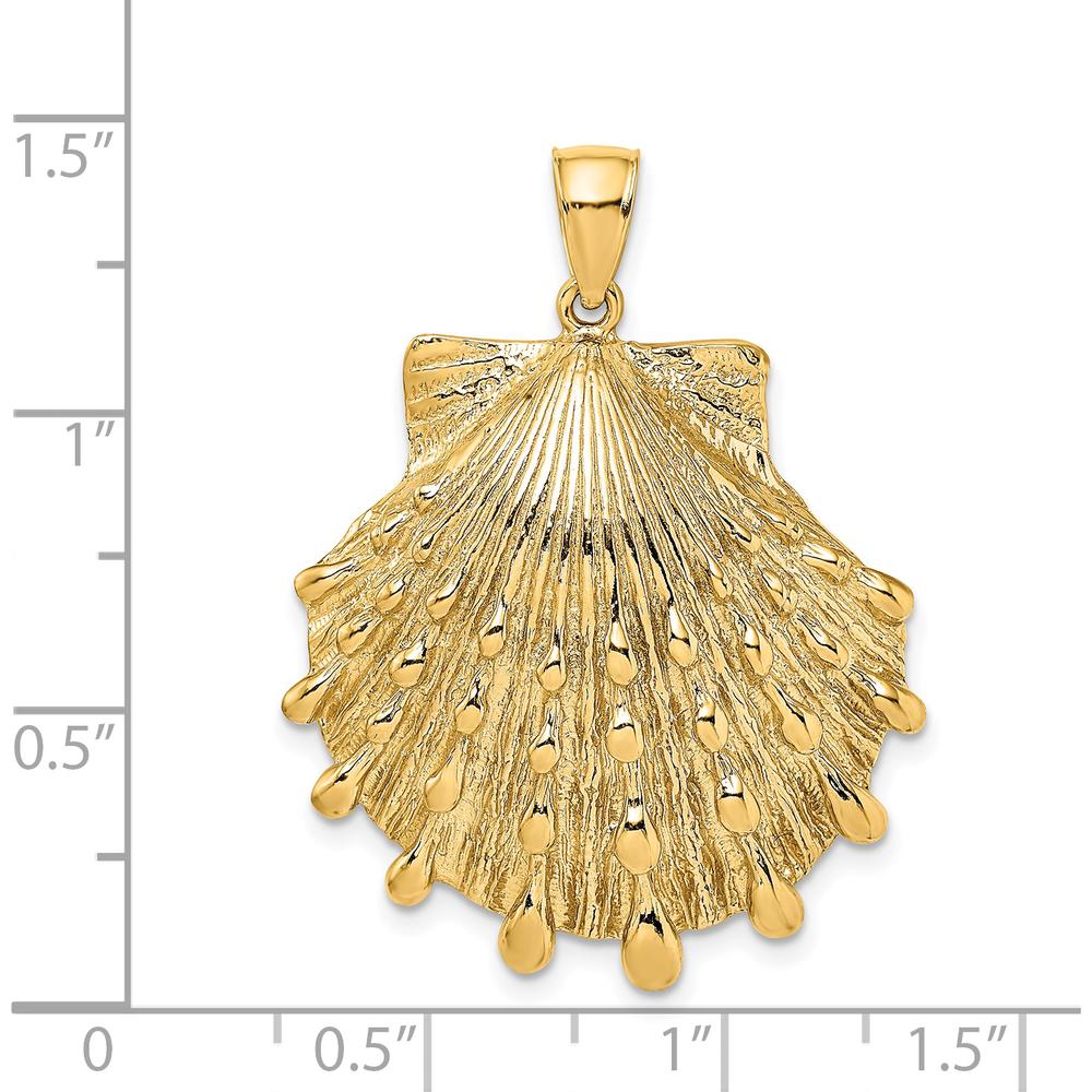 14K Yellow Gold Lion’s Paw Seashell Pendant with Textured Detailing - 35mm by Oro Pregiato