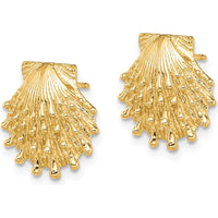 14K Yellow Gold Lion's Paw Shell Button Earrings - Timeless Design by 0