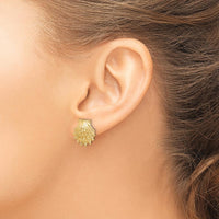 14K Yellow Gold Lion's Paw Shell Button Earrings - Timeless Design by 0