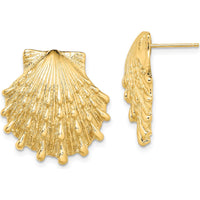 14K Yellow Gold Lion's Paw Shell Button Post Earrings by 0