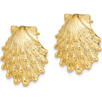 14K Yellow Gold Lion's Paw Shell Button Post Earrings by 0