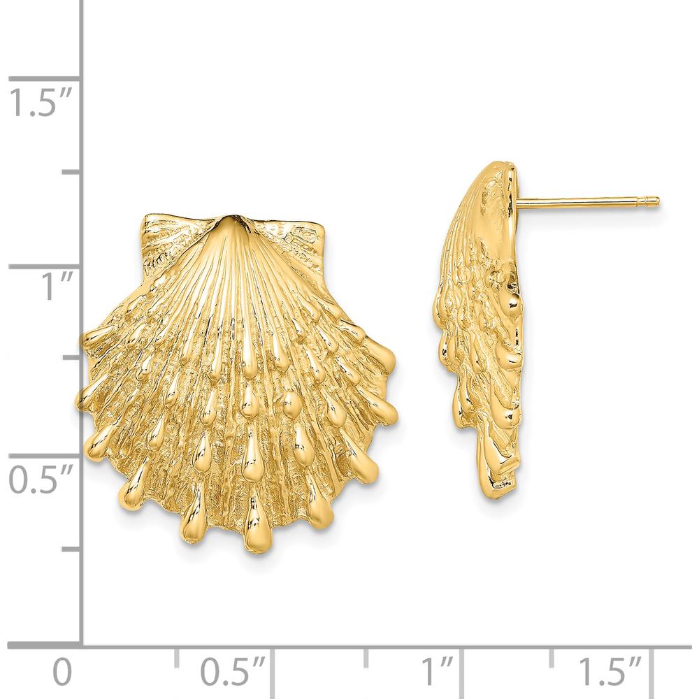 14K Yellow Gold Lion's Paw Shell Button Post Earrings by 0