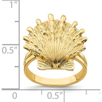 14K Yellow Gold Lion's Paw Shell Ring - Open Back Design by 0