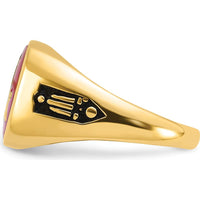 14K Yellow Gold Masonic Men's Ring with Lab-Created Ruby Cushion Cut and Black Enamel Accents by IBGoodman