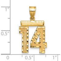14K Yellow Gold Medium Diamond-Cut Number 14 Pendant Charm by Oro Pregiato