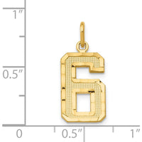 14K Yellow Gold Medium Diamond-Cut Number 6 Charm - Polished Finish by Oro Pregiato