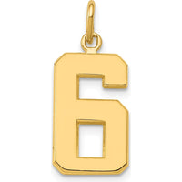14K Yellow Gold Medium Polished Number 6 Pendant Charm by Oro Pregiato