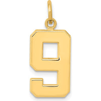 14K Yellow Gold Medium Polished Number 9 Pendant Charm by Oro Pregiato