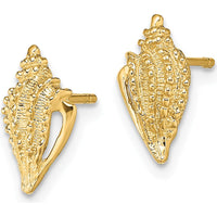 14K Yellow Gold Mini Conch Shell Post Earrings - Polished Finish by 0