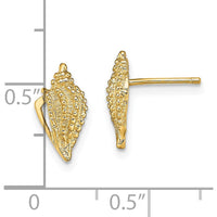14K Yellow Gold Mini Conch Shell Post Earrings - Polished Finish by 0