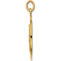 14K Yellow Gold Miraculous Medal Pendant with Polished and Satin Finish - 27mm x 20.25mm by Oro Pregiato