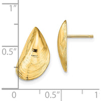14K Yellow Gold Mussel Shell Button Earrings - Polished Finish by 0
