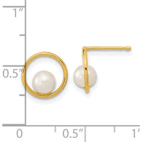 14K Yellow Gold Open Circle 5mm Freshwater Cultured Pearl Post Earrings - 1.0 Carat Total Pearl Weight by 0
