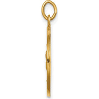 14K Yellow Gold Our Lady of Guadalupe Round Pendant - Polished and Satin Finish by Oro Pregiato