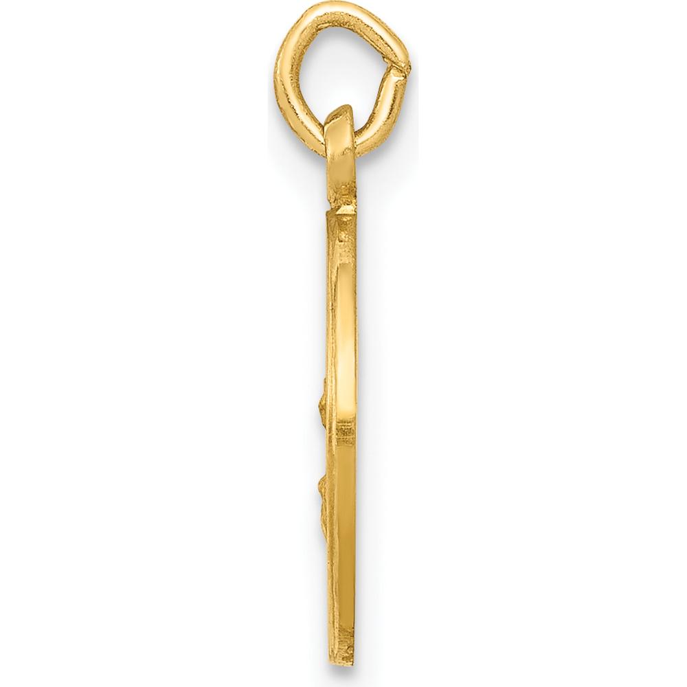 14K Yellow Gold Our Lady of the Assumption Round Charm - Polished and Satin Finish, 17mm Length by Oro Pregiato