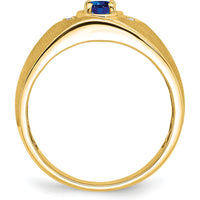 14K Yellow Gold Oval Sapphire and Diamond Men's Ring - 0.6 Carat Sapphire, 0.01 Carat Total Diamond Weight by 0