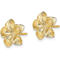 14K Yellow Gold Plumeria Flower Post Earrings - Polished Finish by 0