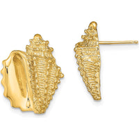 14K Yellow Gold Polished 2D Conch Shell Button Earrings - 17.62mm Length, 14mm Width by 0