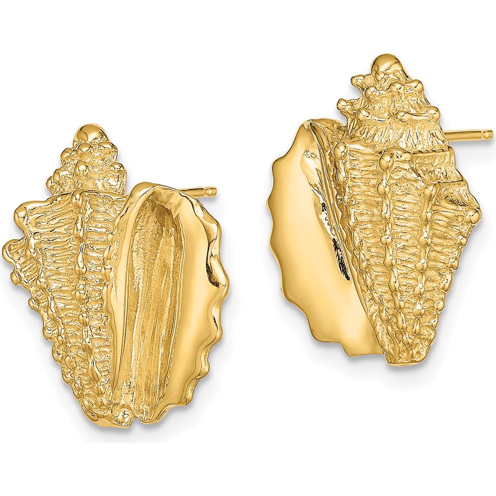 14K Yellow Gold Polished 2D Conch Shell Button Earrings - 17.62mm Length, 14mm Width by 0