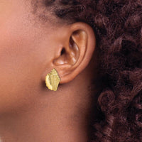 14K Yellow Gold Polished 2D Conch Shell Button Earrings - 17.62mm Length, 14mm Width by 0