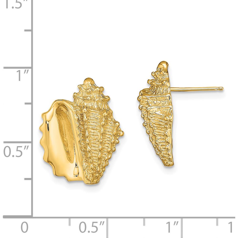 14K Yellow Gold Polished 2D Conch Shell Button Earrings - 17.62mm Length, 14mm Width by 0